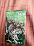 Phonecard Animals Used Rare ! - Dschungel