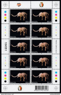 Malta 2009-2015 : Prehistoric Animals, Fossil, Paleontology, Elephas Falconeri - Dwarf Elephant - Préhistoriques