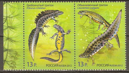 Russia 2012 MiNr. 1831 - 1832  Russland Joint Issues Belarus Amphibians Newt 2 V  MNH** 3,00 € - Gemeinschaftsausgaben