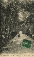 LE HAVRE - La Forêt De Montgeon - Allée Sous Bois - Unclassified