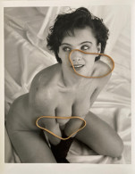 GRANDE PHOTOGRAPHIE. Une Femme Manequin Nue Artistique, Pose Suggestive Coquine, Poitrine, Seins - Ohne Zuordnung