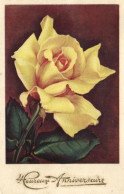 8884 -  Thèmes > Fleurs Plantes & Arbres < Fleurs   Belle Rose Jaune - Fleurs