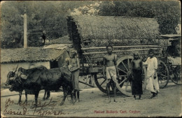 CPA Sri Lanka Ceylon, Native Bullock Cart - Trachten