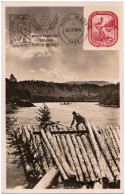 FLOTTAGE DU BOIS / FLOATING TIMBER On BISTRITA RIVER - ROMANIA - CARTE MAXIMUM - 1983 - REAL PHOTO POSTCARD (an871) - Maximumkaarten