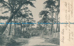 R153694 Hampstead. Fir Avenue. Cole. 1903 - Monde