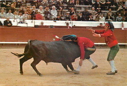 Corrida - Portugal - Tourada A Pega - Typique De La Course De Taureaux Portugaise - Carte Neuve - CPM - Voir Scans Recto - Corrida