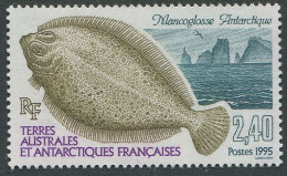 French Antarctica:Antarctiques Francaises:Unused Stamp Fish, 1995, MNH - Poissons