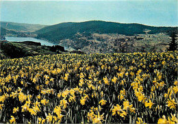 88 - Gérardmer - Les Jonquilles Du Pré Grangette - Fleurs - Carte Neuve - CPM - Voir Scans Recto-Verso - Gerardmer