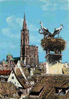 67 - Strasbourg - Vue Sur Les Toits - Nid De Cigognes - Flamme Postale - CPM - Voir Scans Recto-Verso - Straatsburg