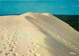 33 - Dune Du Pyla - Bassin D'Arcachon - CPM - Voir Scans Recto-Verso - Other & Unclassified