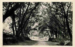 16 - Cognac - Dans Le Parc Vers Robinson - CPM - Voir Scans Recto-Verso - Cognac