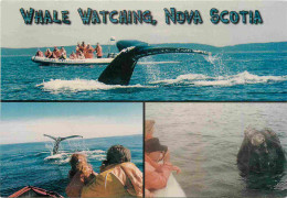 Animaux - Baleine - Whale Watching In Nova Scotia - Multivues - CPM - Carte Neuve - Voir Scans Recto-Verso - Autres & Non Classés