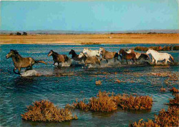 Animaux - Chevaux - Camargue - Manade De Chevaux Sauvages Dans Les Marais - Carte Neuve - Voir Scans Recto Verso  - Caballos