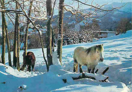 Animaux - Chevaux - Image De Nos Montagnes En Hiver - Les Poneys Dans La Forêt Enneigée - CPM - Voir Scans Recto-Verso - Chevaux