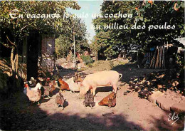 Animaux - Cochons - Animaux De La Ferme - Poules - CPM - Voir Scans Recto-Verso - Varkens