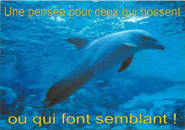 Animaux - Dauphins - CPM - Voir Scans Recto-Verso - Delfini
