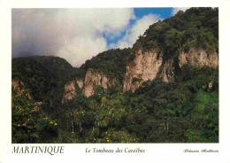 Martinique - Le Precheur - Le Tombeau Des Caraibes - CPM - Voir Scans Recto-Verso - Autres & Non Classés