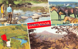 R153095 Dartmoor. Multi View. Dennis - Monde