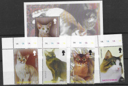 Montserrat Mnh ** Sheet And Set 2004 Euros Cat Chat Katze - Montserrat