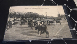 Carte  Postale LUCON LE CHAMP DE FOIRE AUX BOEUFS ET LE CALVAIRE - Lucon