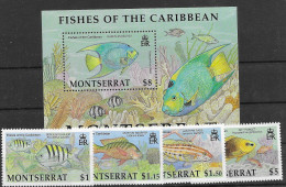Montserrat Mnh ** Sheet And Set 2002 24 Euros Fish - Montserrat