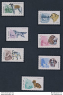 1966 ALBANIA,  Cani -  N. 1104/10, MNH** - Andere & Zonder Classificatie