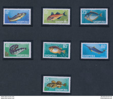 1967 ALBANIA, Pesci, N. 1131/37, MNH** - Fishes