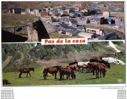 CPSM (Réf:J513) 3098 VALLS D'ANDORRA (ANDORRE) Double Vues (Chevaux Dans La Prairie, Vue Générale) - Andorre