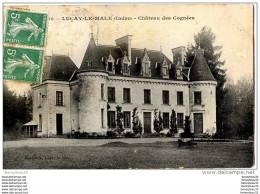 CPA (Réf:J413) LUÇAY-LE-MÂLE (INDRE 36) CHÂTEAU DES COGNÉES - Autres & Non Classés