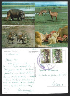 Postal Da Gorongosa, Moçambique. Obliteração Da Gorongosa Stamps Pedro Álvares Cabral. 1ª Missa No Brasil. Leão, Bufalo. - Mosambik