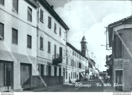 Cf383 Cartolina Bellinzago Novarese Via Della Liberta' Provincia Di Novara - Novara