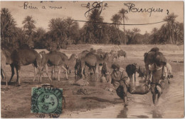 La Traversee D'un Oued - & Camel - Sonstige & Ohne Zuordnung