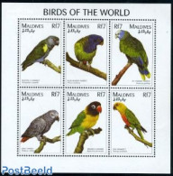 Maldives 1997 Birds 6v M/s, Mint NH, Nature - Birds - Parrots - Maldive (1965-...)
