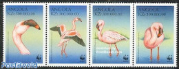 Angola 1999 WWF, Flamingo 4v [:::], Mint NH, Nature - Birds - World Wildlife Fund (WWF) - Flamingo - Angola