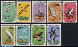 Maldives 1977 Birds 9v, Mint NH, Nature - Birds - Maldive (1965-...)