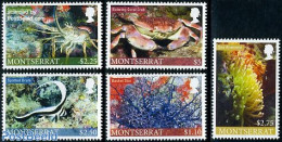 Montserrat 2010 Marine Life 5v, Mint NH, Nature - Fish - Shells & Crustaceans - Poissons