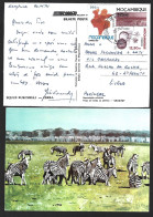 Zebra. Equus Burchelli. Inteiro Postal 125Mt Moçambique 2 Stamps Adicionais. Coco. Canna Indica. Entire Postcard 125Mt M - Mozambico