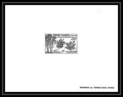 épreuve De Luxe / Deluxe Proof Andorre Andorra N°307 Pin Sylvestre Arbre Tree Scots Pine - Unused Stamps