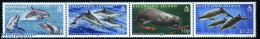 Ascension 2009 Whales & Dolphins 4v [:::], Mint NH, Nature - Fish - Sea Mammals - Fishes
