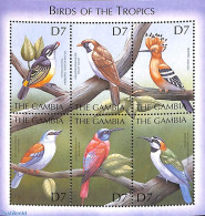 Gambia 2000 Tropical Birds 6v M/s, Pogoniulus Billineatus, Mint NH, Nature - Birds - Gambie (...-1964)