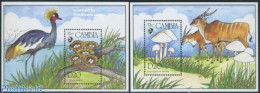 Gambia 1994 Mushrooms 2 S/s, Mint NH, Nature - Animals (others & Mixed) - Birds - Mushrooms - Pilze