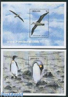 Grenada 1998 Sea Birds 2 S/s, Mint NH, Nature - Birds - Penguins - Autres & Non Classés