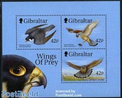 Gibraltar 1999 Birds Of Prey S/s, Mint NH, Nature - Birds - Birds Of Prey - Gibilterra