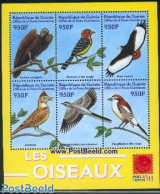 Guinea, Republic 2001 Philanippon, Birds 6v M/s, Mint NH, Nature - Birds - Birds Of Prey - Autres & Non Classés