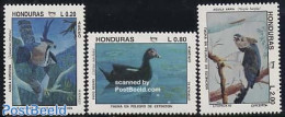 Honduras 1993 Birds 3v, Mint NH, Nature - Birds - U.P.A.E. - Honduras