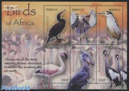 Burundi 2004 African Birds 6v M/s, Mint NH, Nature - Birds - Other & Unclassified