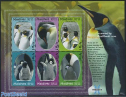 Maldives 2007 Penguins 6v M/s, Mint NH, Nature - Birds - Penguins - Malediven (1965-...)