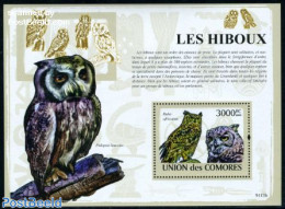 Comoros 2009 Owls S/s, Mint NH, Nature - Birds - Birds Of Prey - Owls - Comoros