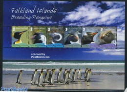 Falkland Islands 2008 Penguins S/s, Mint NH, Nature - Birds - Penguins - Autres & Non Classés