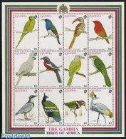 Gambia 1993 Birds 12v M/s, Mint NH, Nature - Birds - Gambie (...-1964)